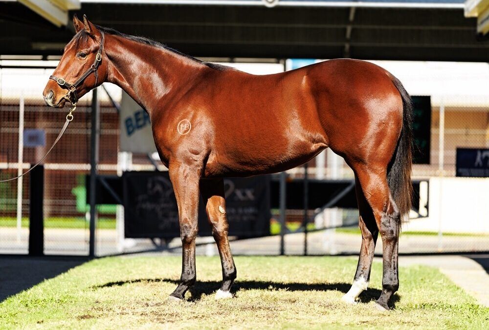 Un-named (Tiger Of Malay – Take Aletter Maria)