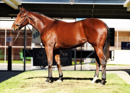 Un-named (Tiger Of Malay - Take Aletter Maria)