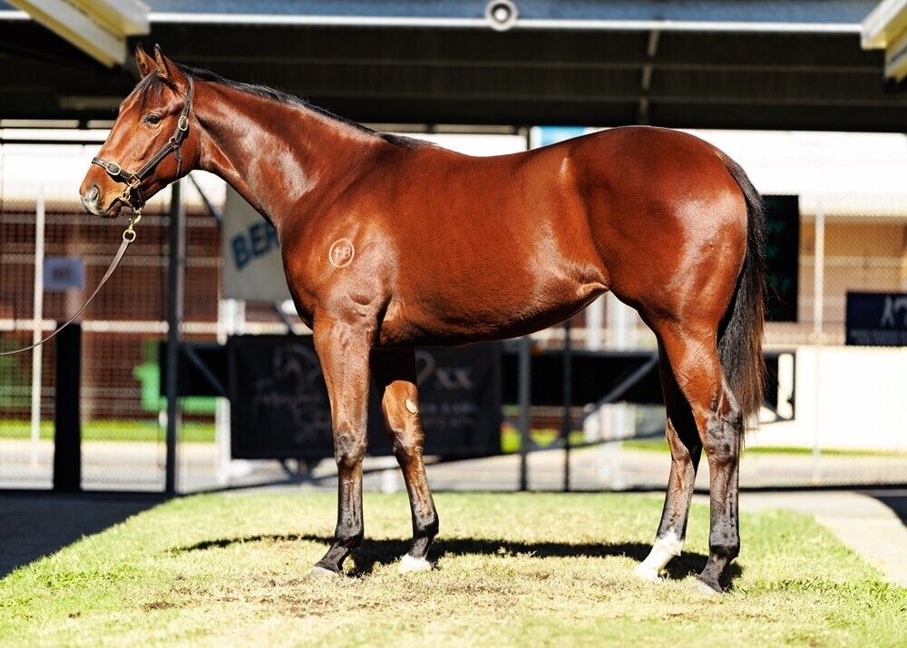 Un-named (Tiger Of Malay – Take Aletter Maria)