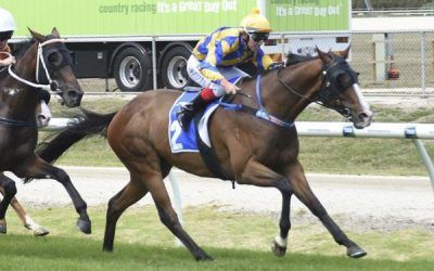 BEL SIR NOTCHES UP HIS 10TH WIN AT YARRA VALLEY