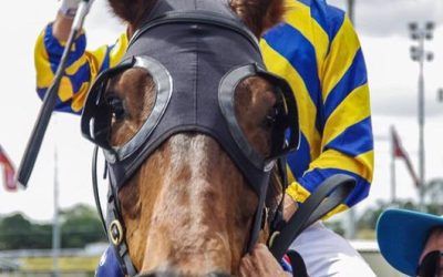 ARCTIC SONG SALUTES ON DAY 1 OF THE 2017 CARNIVAL