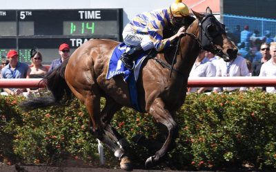 ARCTIC SONG BOLTS IN BY 9 LENGTHS ON CUP DAY 2017