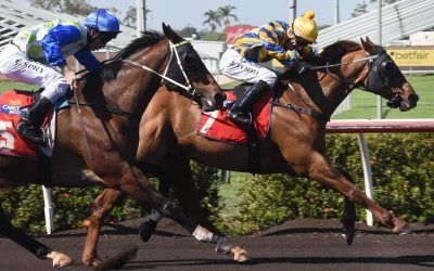 MORAL OUTRAGES NOTCHES 1ST WIN FOR STABLE