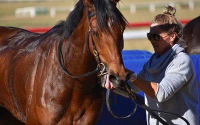 Travis hands Dennett second trainer victory at Quirindi