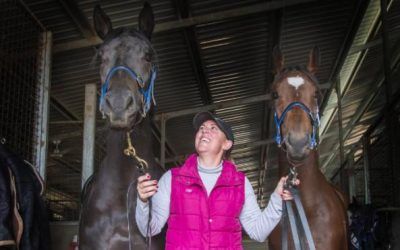 Melissa Dennett savours first training double of career on Gunnedah Cup day