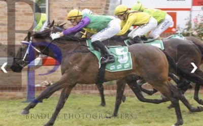 Unitary wins at Walcha