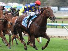 MOONEE VALLEY CITY DOUBLE FOR DOUG HARRISON RACING