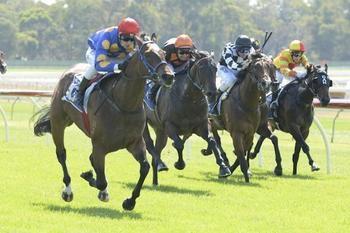 STREAM AHEAD WINS MAIDEN IN STYLE