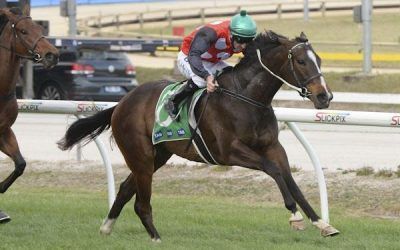 Andrassy set for stakes test