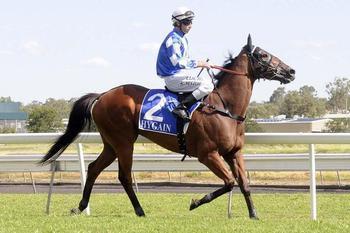 All praise for Stromaise at Tamworth