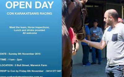 Stable Open Day