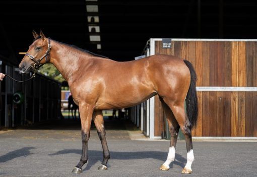 Un-named (Castelvecchio - Not Uncertain)