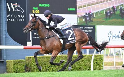 Prince of Sorts does it again
