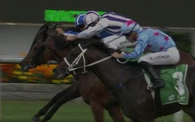 Dream result on Anzac Day