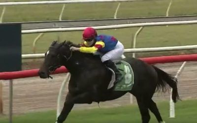 One Runner, One Winner