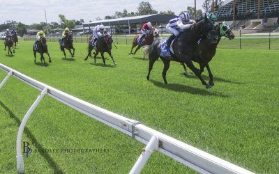 Lone Star Dream finds his mark