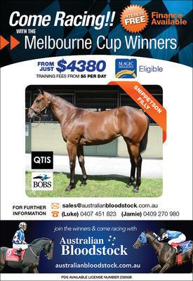 SOLD - Australian Bloodstock