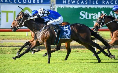 Princess Posh racing on after bold second in Kingsford-Smith Cup