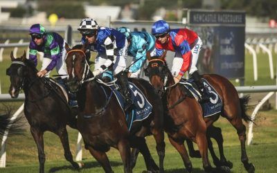 Princess Posh chases crowning glory in final run