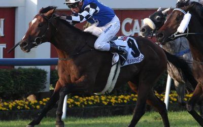 Hunter connections in hunt for second cup