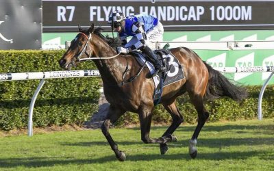 Lees hoping to Cap week in Doomben 10,000