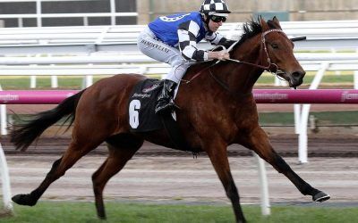 Damien Oliver wins Third Brisbane Cup on Sixties Groove