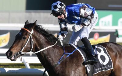 Stradbroke Handicap: Kris Lees hoping to make most of Tactical Advantage