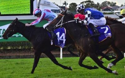 Lees seeks first Queensland Derby