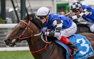 Brave Smash Tops Aquis