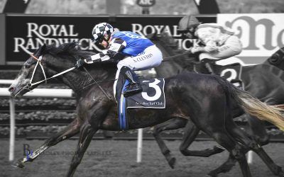 German mare Attention Run wins first Australian start for Newcastle trainer Kris Lees