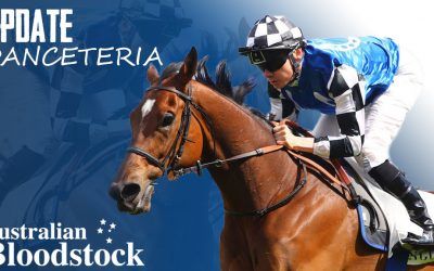 Euro star prepares for big Dance