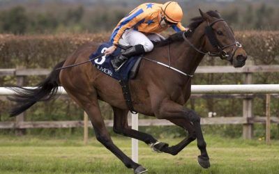 Lovett: Ebor winner not number one