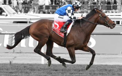 Another Cups horse secured by Australian Bloodstock
