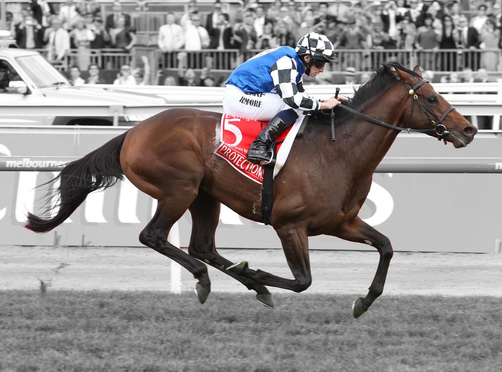 Another Cups horse secured by Australian Bloodstock - Australian Bloodstock