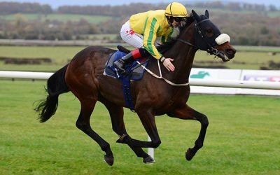 Australian Bloodstock duo on rise for Caulfield Cup, Melbourne Cup