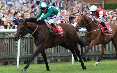 Australian Bloodstock buys stake in Enable conqueror