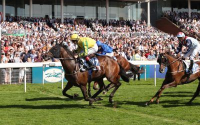 A million reasons to cheer as Mustajeer lands Ebor jackpot for Australian Bloodstock