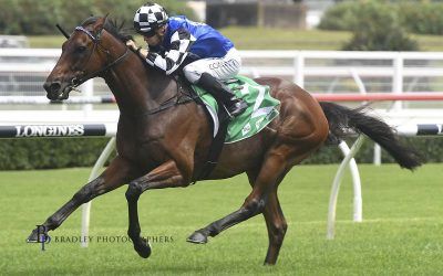 Our Century To Tackle Wyong Cup First-Up After Eight Months