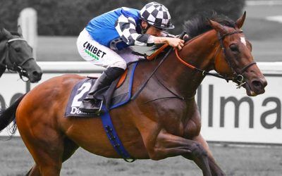 Caulfield lead-up run for international Cox Plate hope