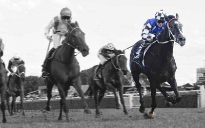 Imported mare demands Attention in Metropolitan Handicap