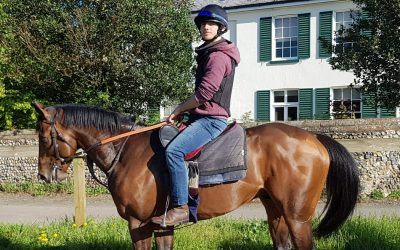 For the love of Chief!