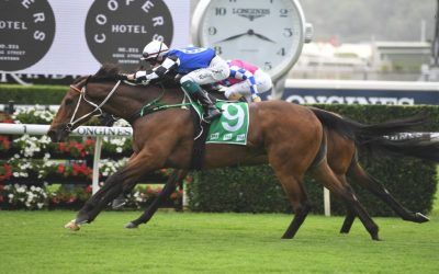 Import Mugatoo impressive in Australian debut