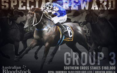 Special effort points to Newcastle Newmarket charge