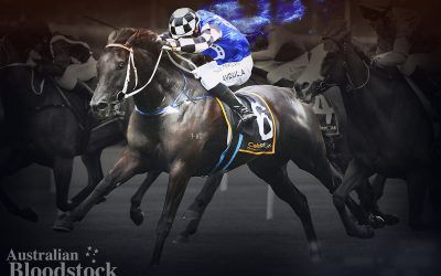 Stakes reward for Special faith