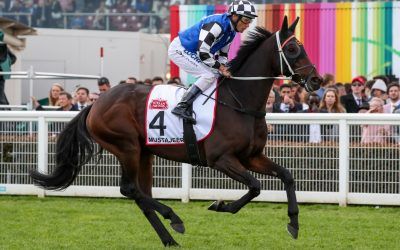 Mustajeer out to bounce back from Melbourne Cup run