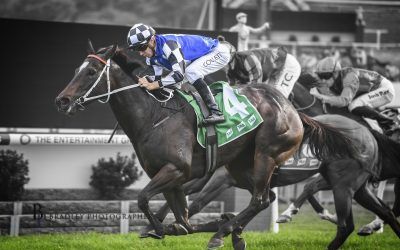 Lees Takes Heart In Mare’s Wet Form While Mugatoo is scratched