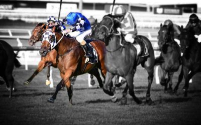 Animate – Feb 25, 2023 – Doomben