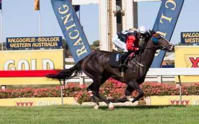 Opening day at Pinjarra