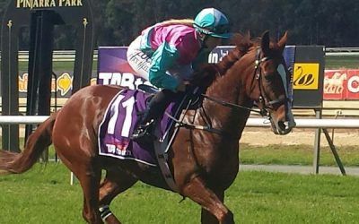 Racing Wednesday at Belmont Park