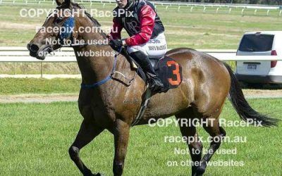 Racing Thursday at Northam